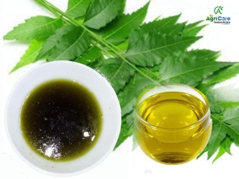 Neem Oil