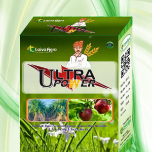 अल्ट्रा पावर