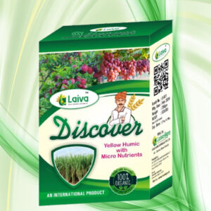 डिस्कवर