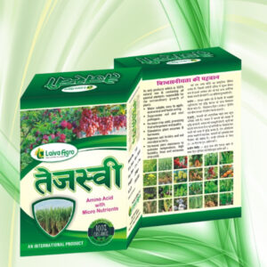 तेजस्वी