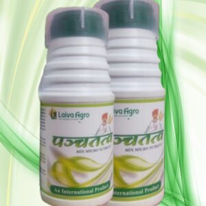 पञ्चतत्त्व