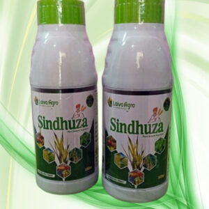 सिंधुजा