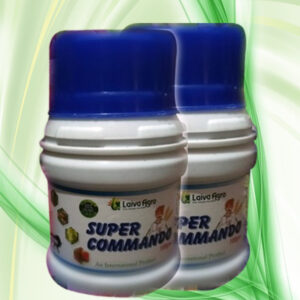 सुपर-कमाण्डो